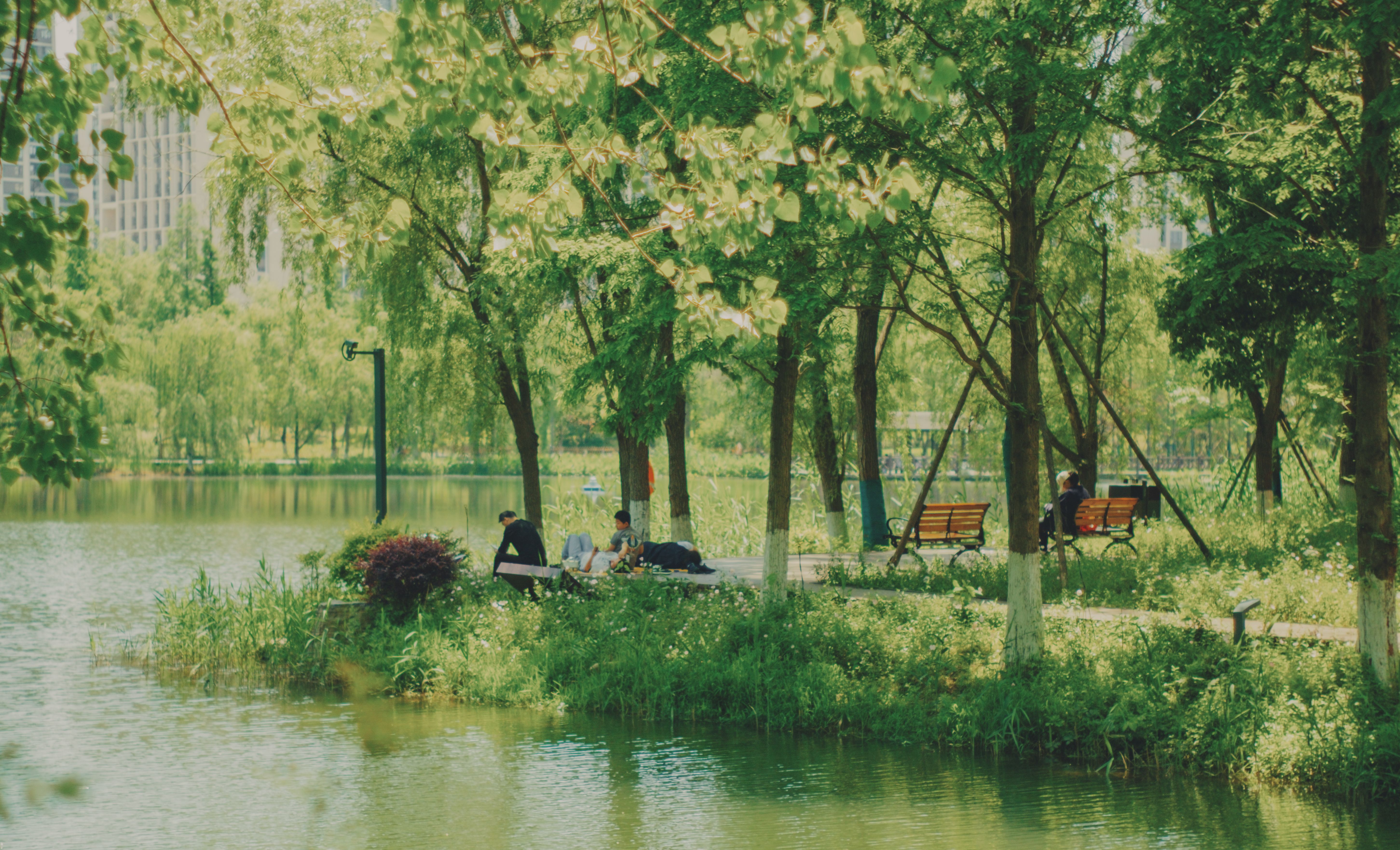 Cooper River 龙舟节（Dragon Boat Festival）