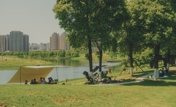 Camping and Picnics: The Perfect Combination 3 free photo of people on picnic in park with lake