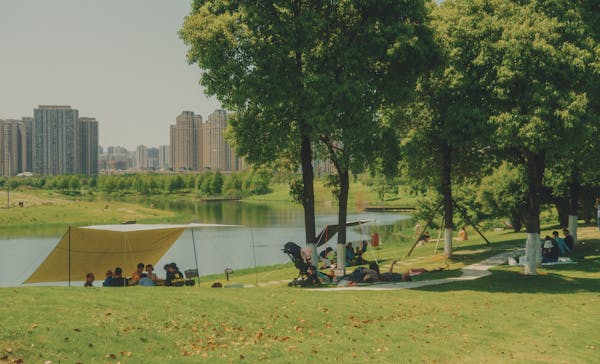 free photo of people on picnic in park with lake