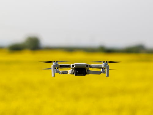 Imagine de stoc gratuită din câmp galben, DJI, dronă