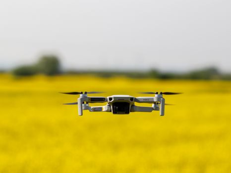 Aerial view of a drone hovering above a vibrant yellow rapeseed field on a clear day.