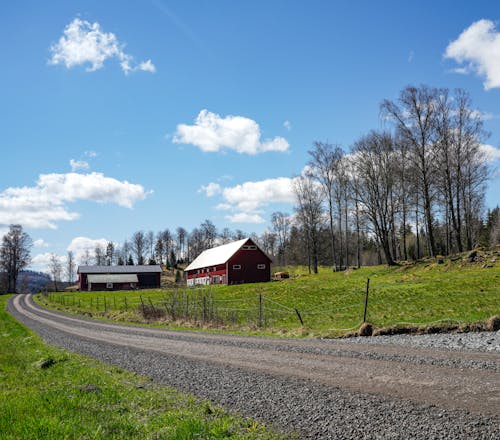 Ilmainen kuvapankkikuva tunnisteilla hiekkatie, kesä, latoja