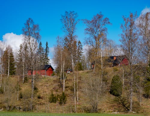Houses on a Hill in the Countryside