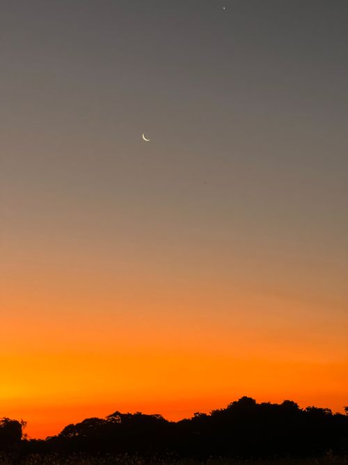 Free Crescent moon silhouetted against a vibrant sunset in Campo Grande, Brazil, with dramatic skies and silhouetted trees. Stock Photo