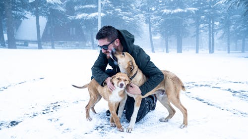 Man in a Snow-covered Clearing Embracing His Dogs