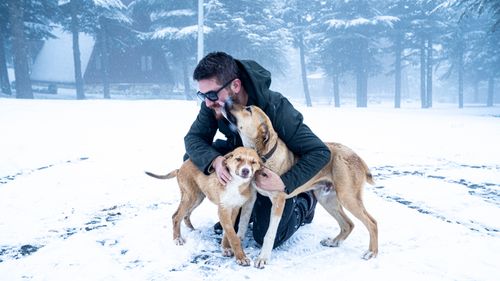 Free A man playing with two dogs in a snowy forest during winter, showcasing friendship and joy. Stock Photo