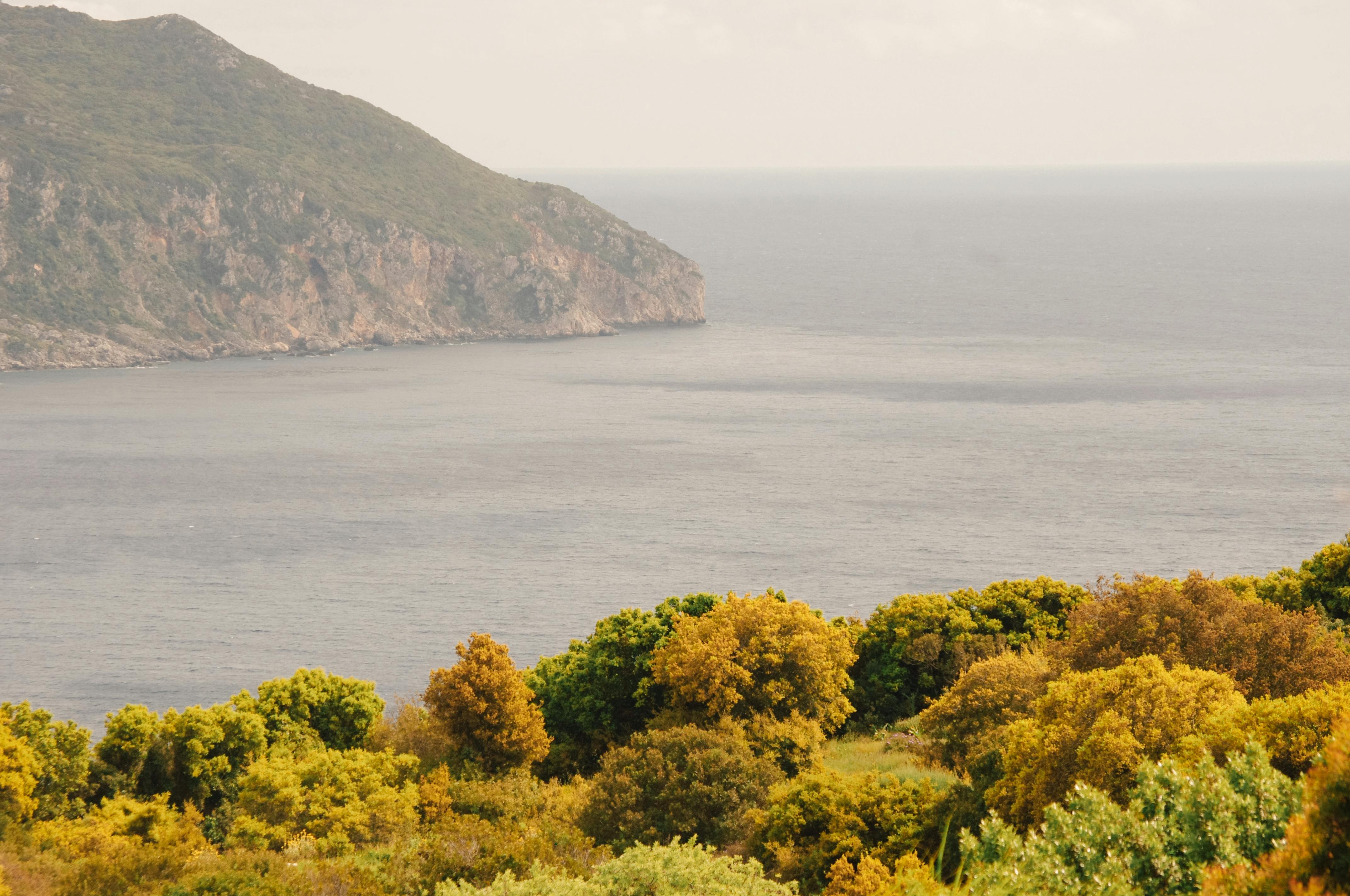 Dionysos (Afionas)