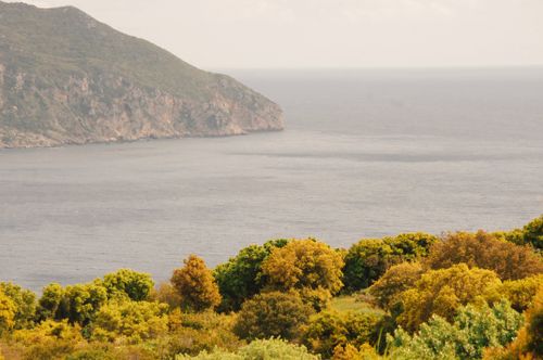 Free Breathtaking view of the coastline near Afionas, Greece, showcasing lush greenery and tranquil sea. Stock Photo