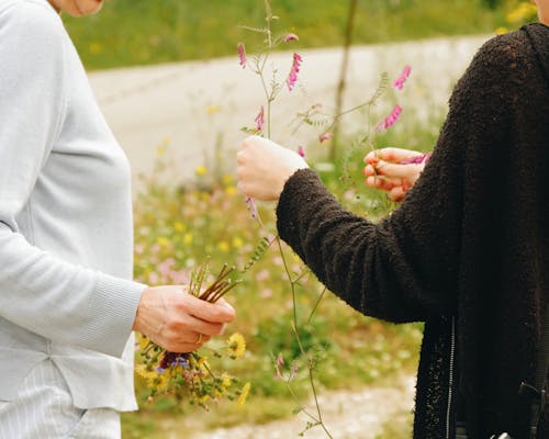 꽃, 들판, 부케의 무료 스톡 사진