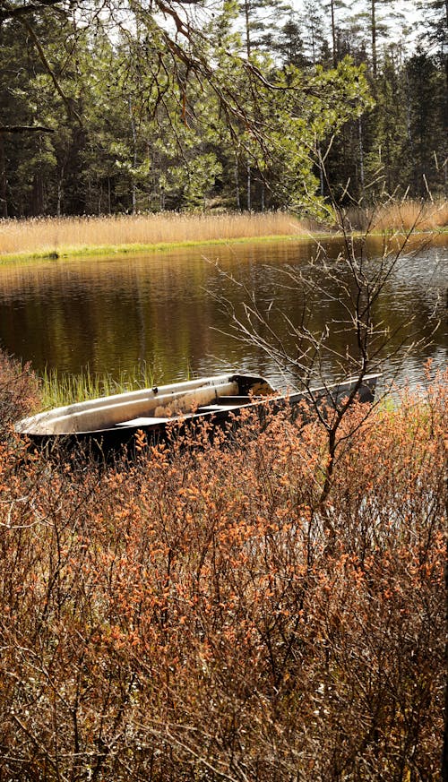 A Boat Moored on the Lakeshore 