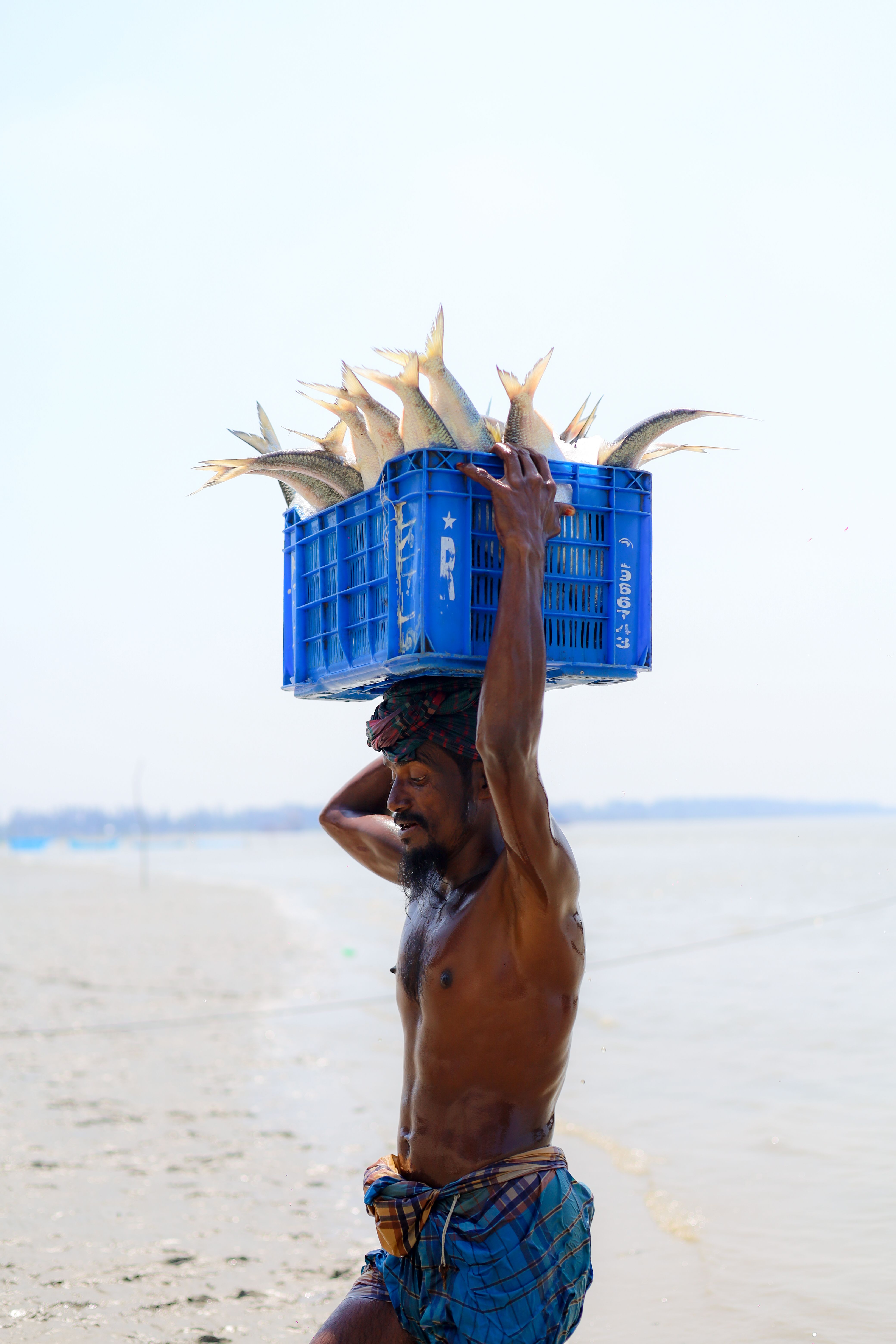 Man Carrying Box with Fish on Head · Free Stock Photo