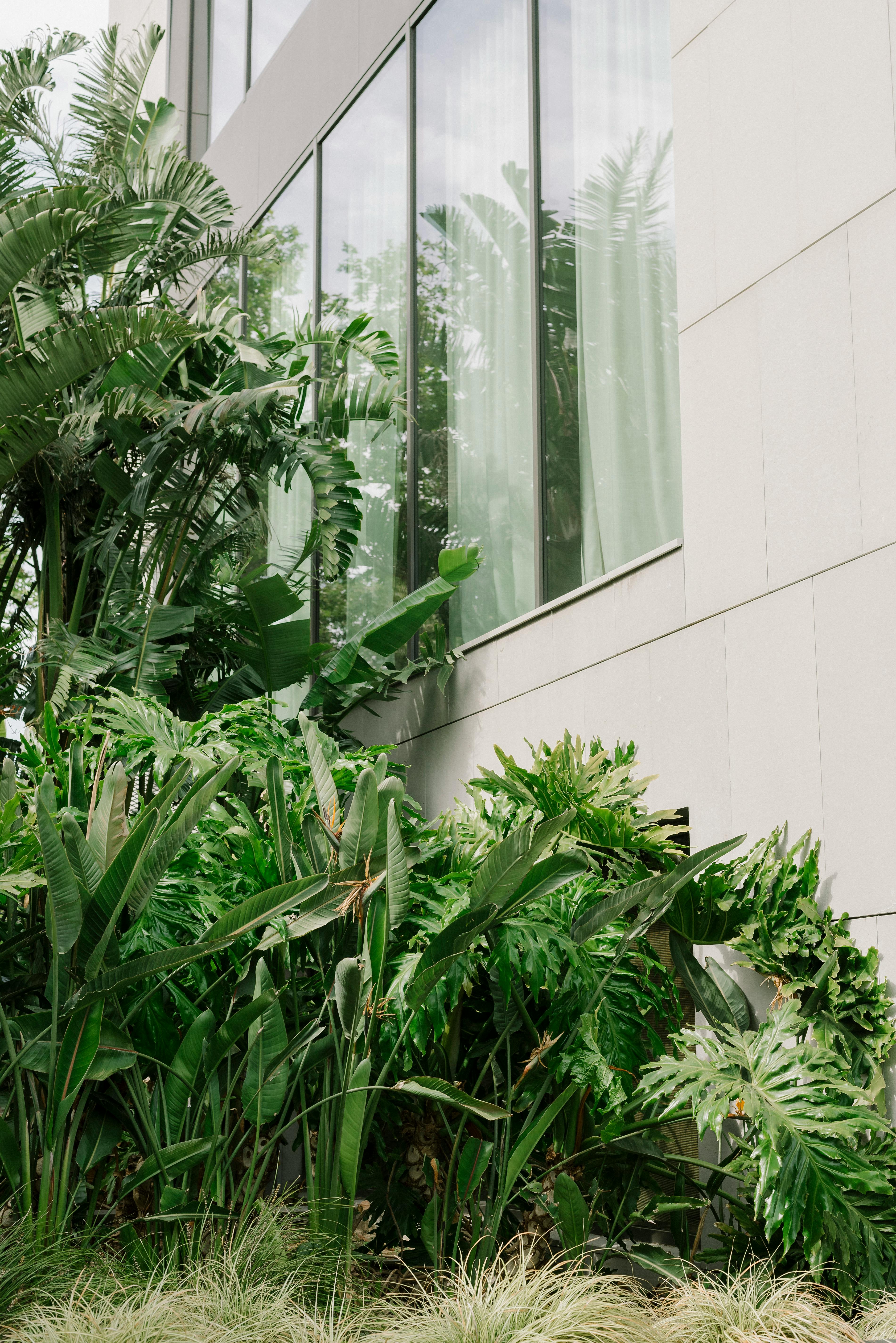 Contemporary building facade with lush greenery, showcasing modern architecture and urban landscaping.