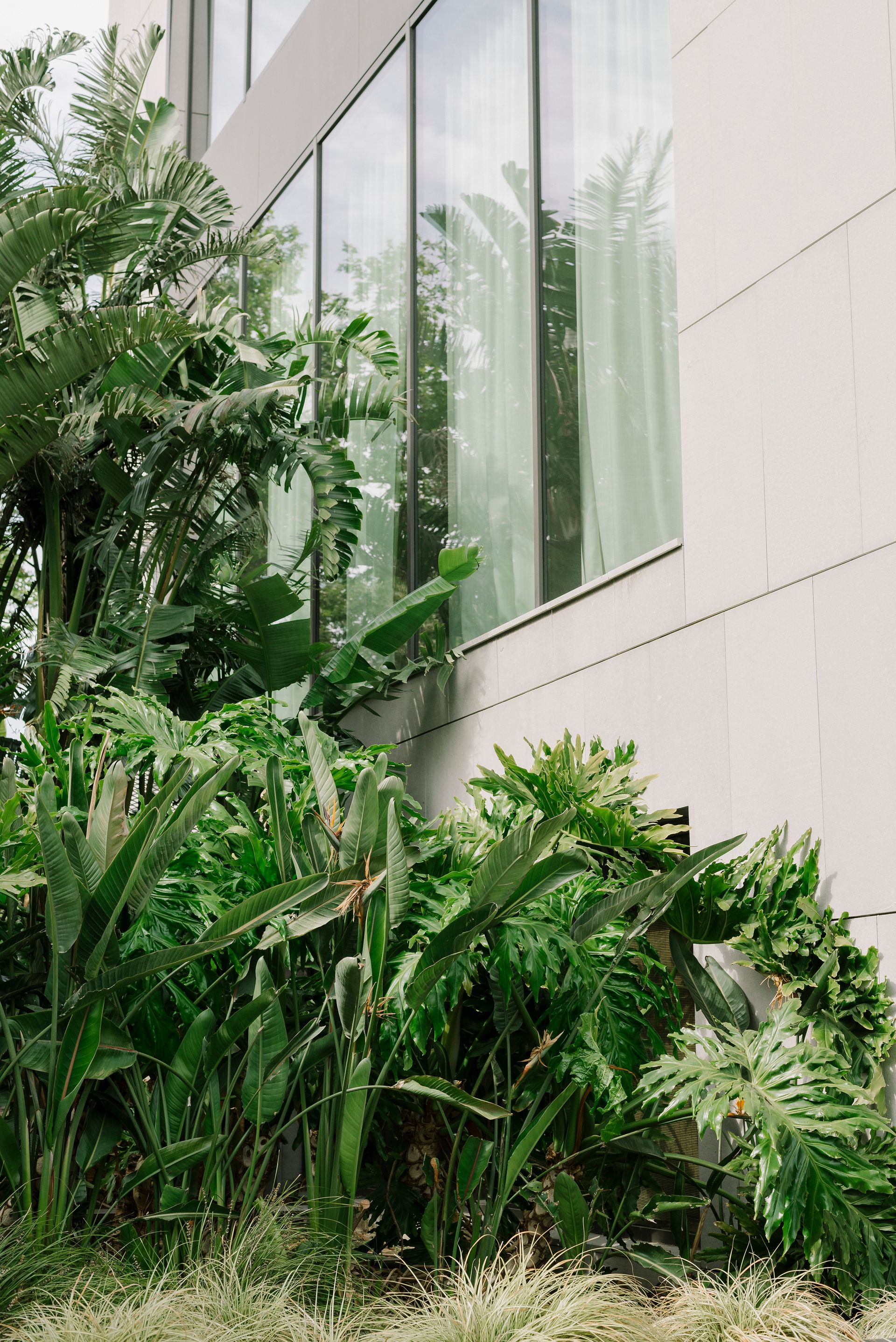 Modern building exterior with integrated green architecture