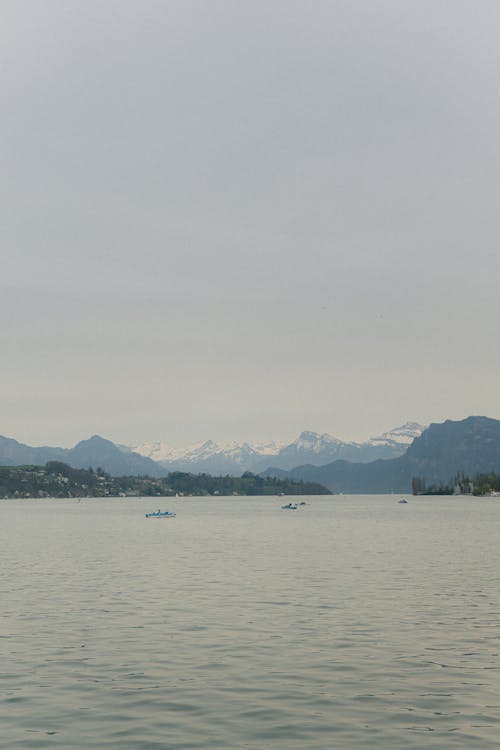 山景, 湖, 瑞士 的 免費圖庫相片