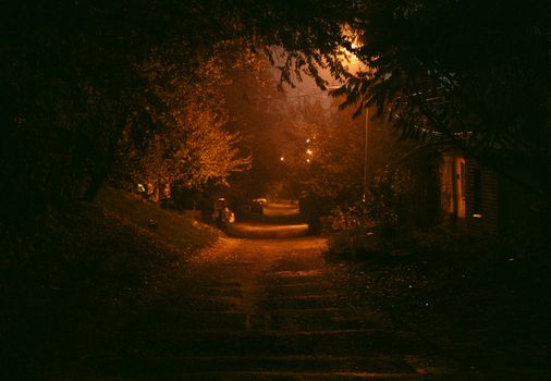 An atmospheric shot of a dimly lit urban street at night, framed by trees.
