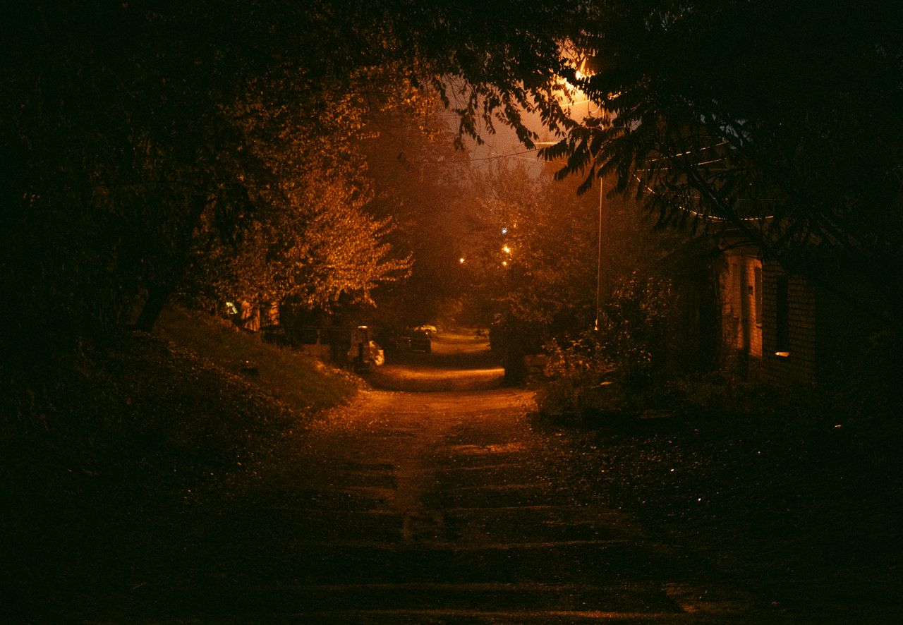 an atmospheric shot of a dimly lit urban street at night framed by tre