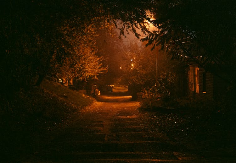 Light Over Empty Street At Night