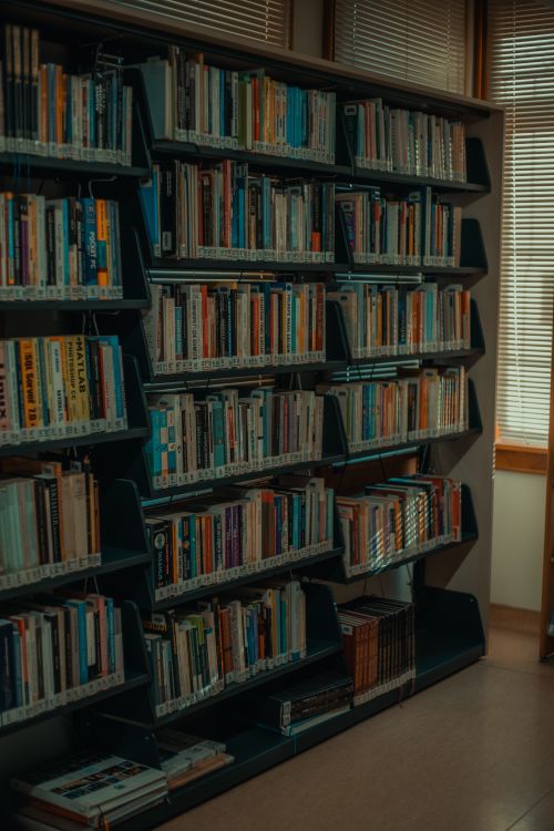 Free Serene library shelves filled with books in Bursa, Turkey, captured indoors. Stock Photo