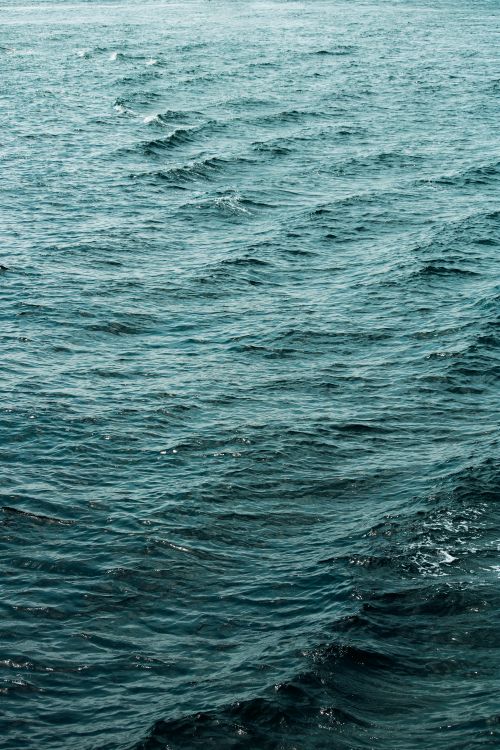 Free Capture of gentle ocean waves under daylight showcasing the beauty of nature. Stock Photo