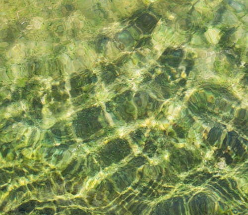 Shallow Water Surface