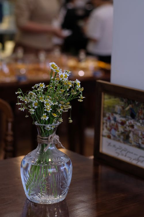 Vase of Chamomiles on Restaurant Table