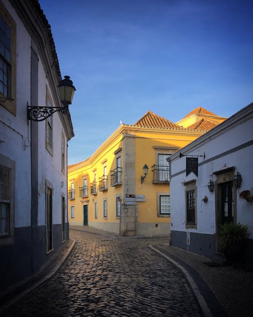 View of a Cobblestone Street between Historical Houses 