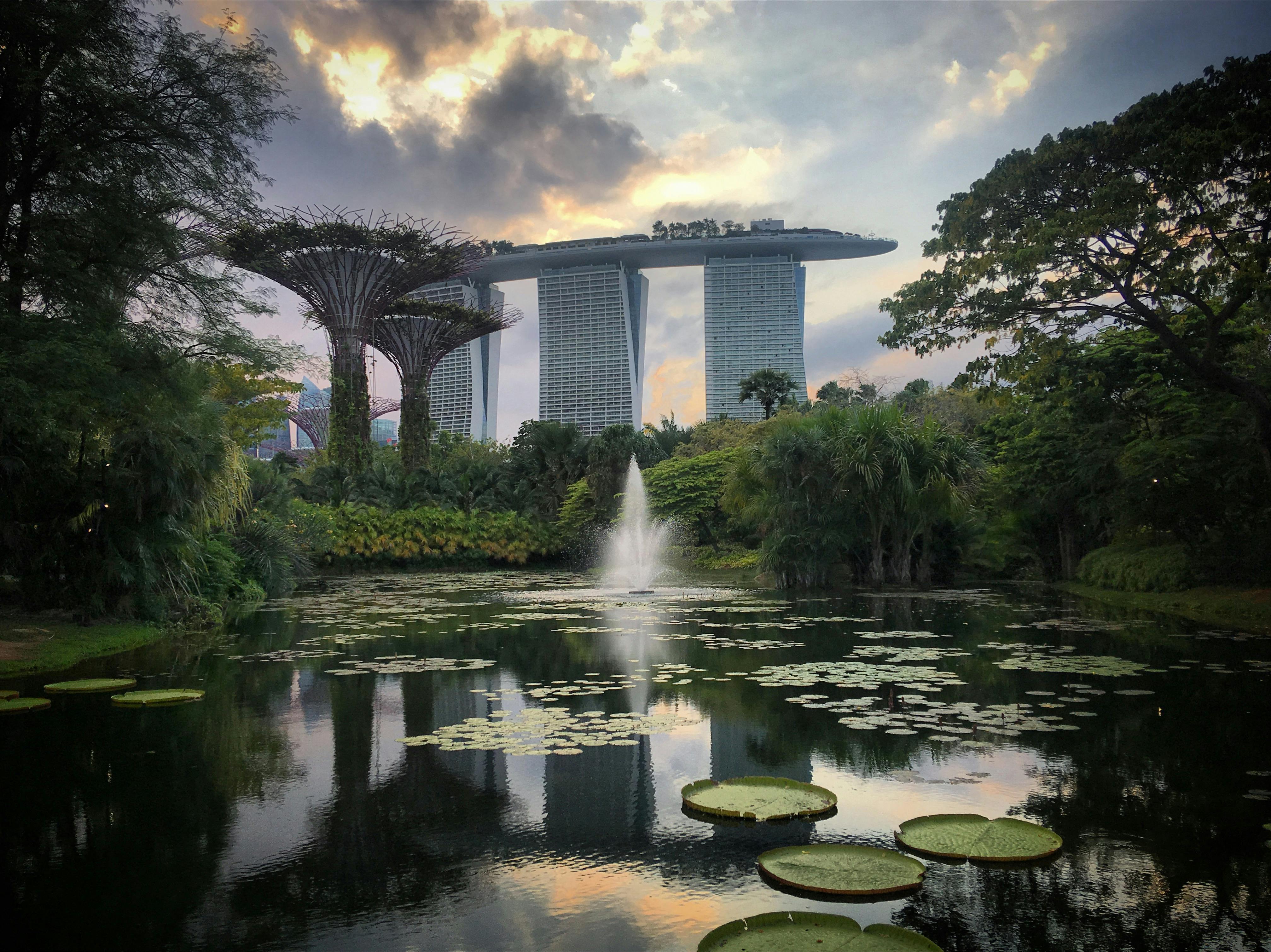 Marina Bay Sands hotel and the Supertree Grove at Gardens by the Bay reflected in Marina Bay reservoir at dusk in Singapore