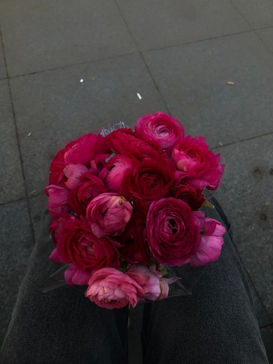 Person Holding a Bouquet of Pink Roses · Free Stock Photo