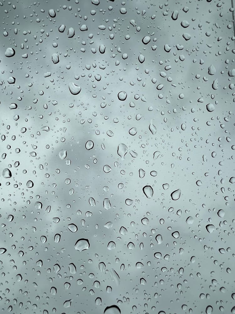 Droplets On Window Pane