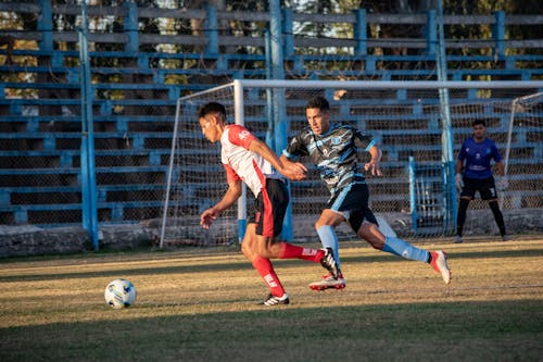 Foto d'estoc gratuïta de camp de futbol, corrent, emparellat