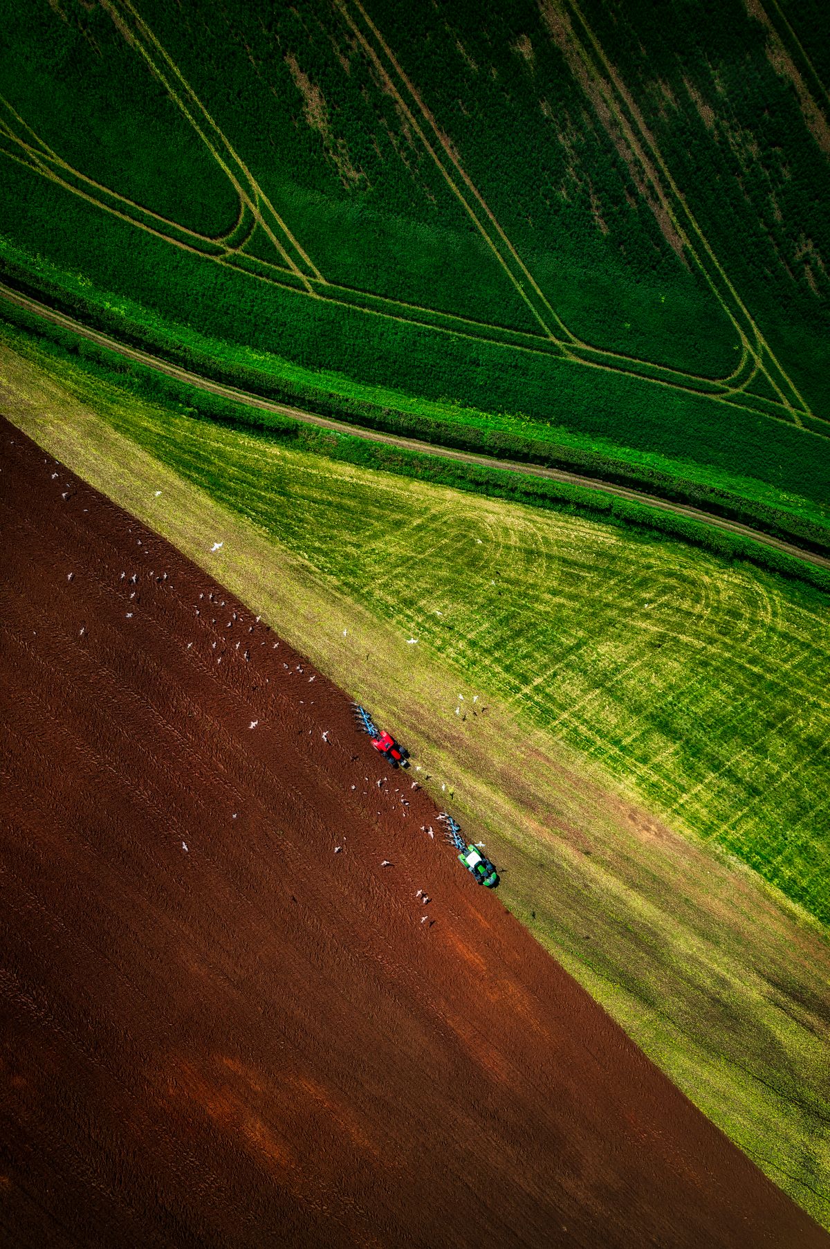 Aerial view of colourful farmland