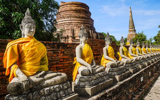 Row of Buddha statues with yellow robes at Wat Yai Chai Mongkhon in Ayutthaya, Thailand, under clear skies.