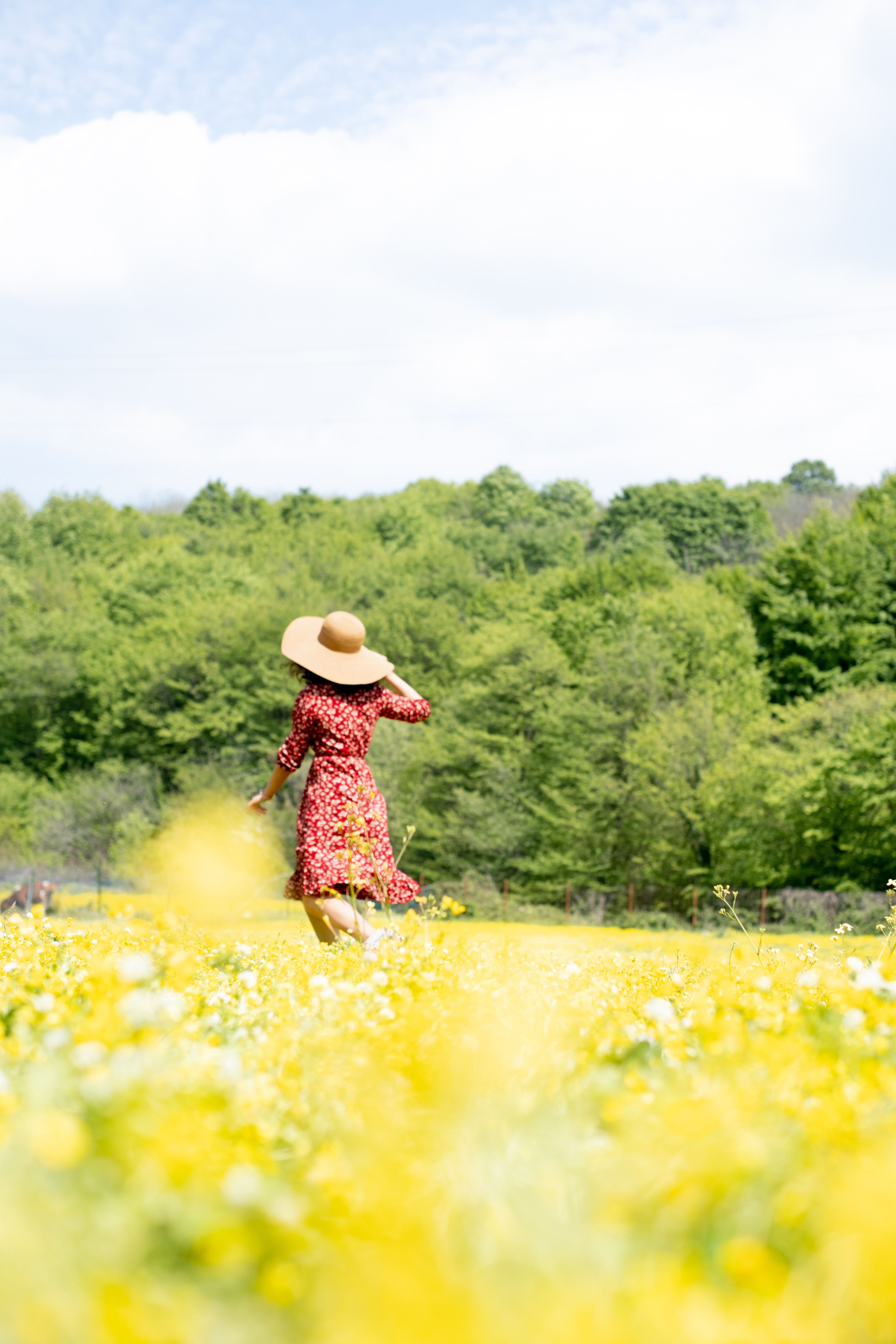 Woman in Red Dress Sitting on Green Grass Field · Free Stock Photo