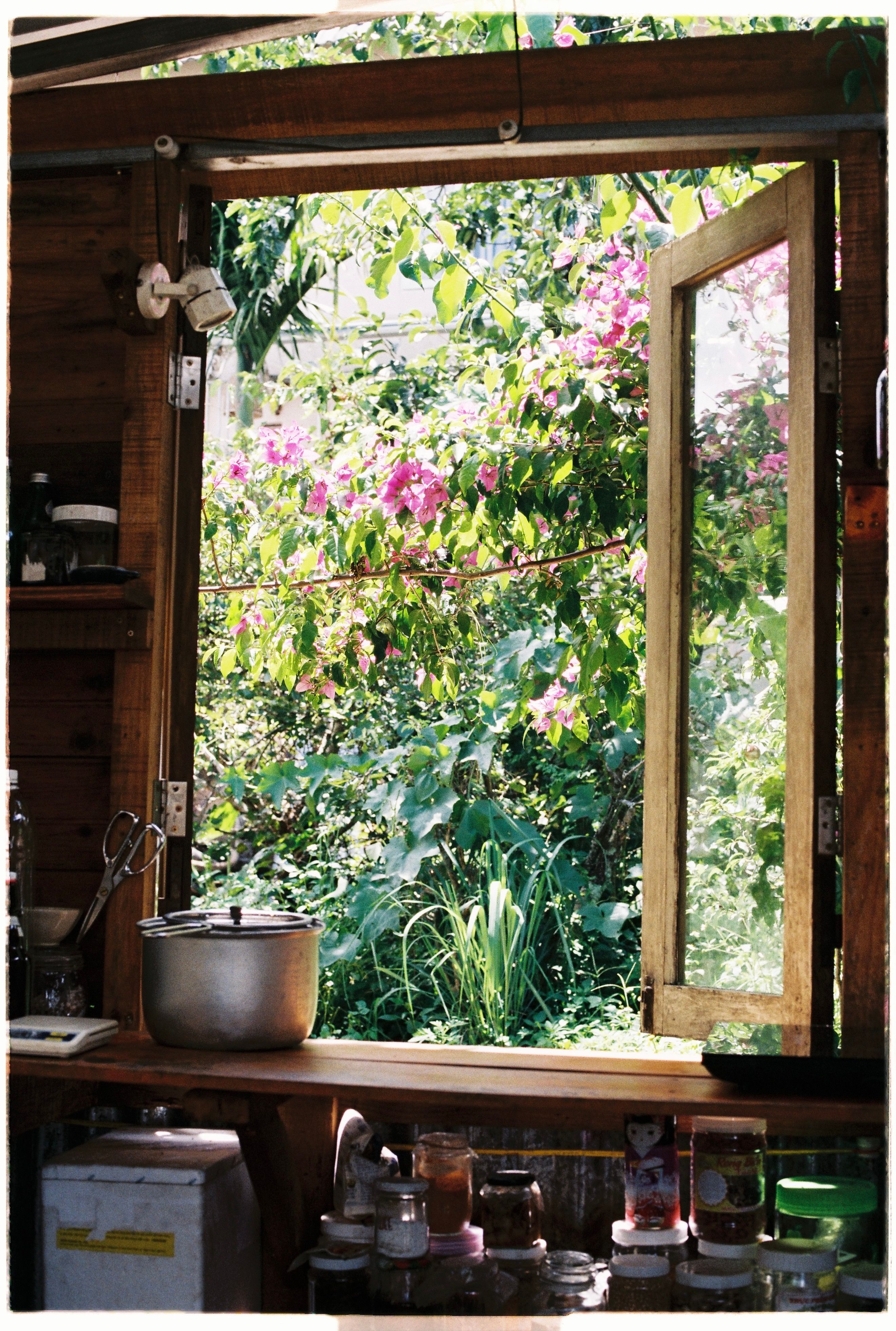 Charming view of vibrant garden through open window in a cozy wooden kitchen setting.