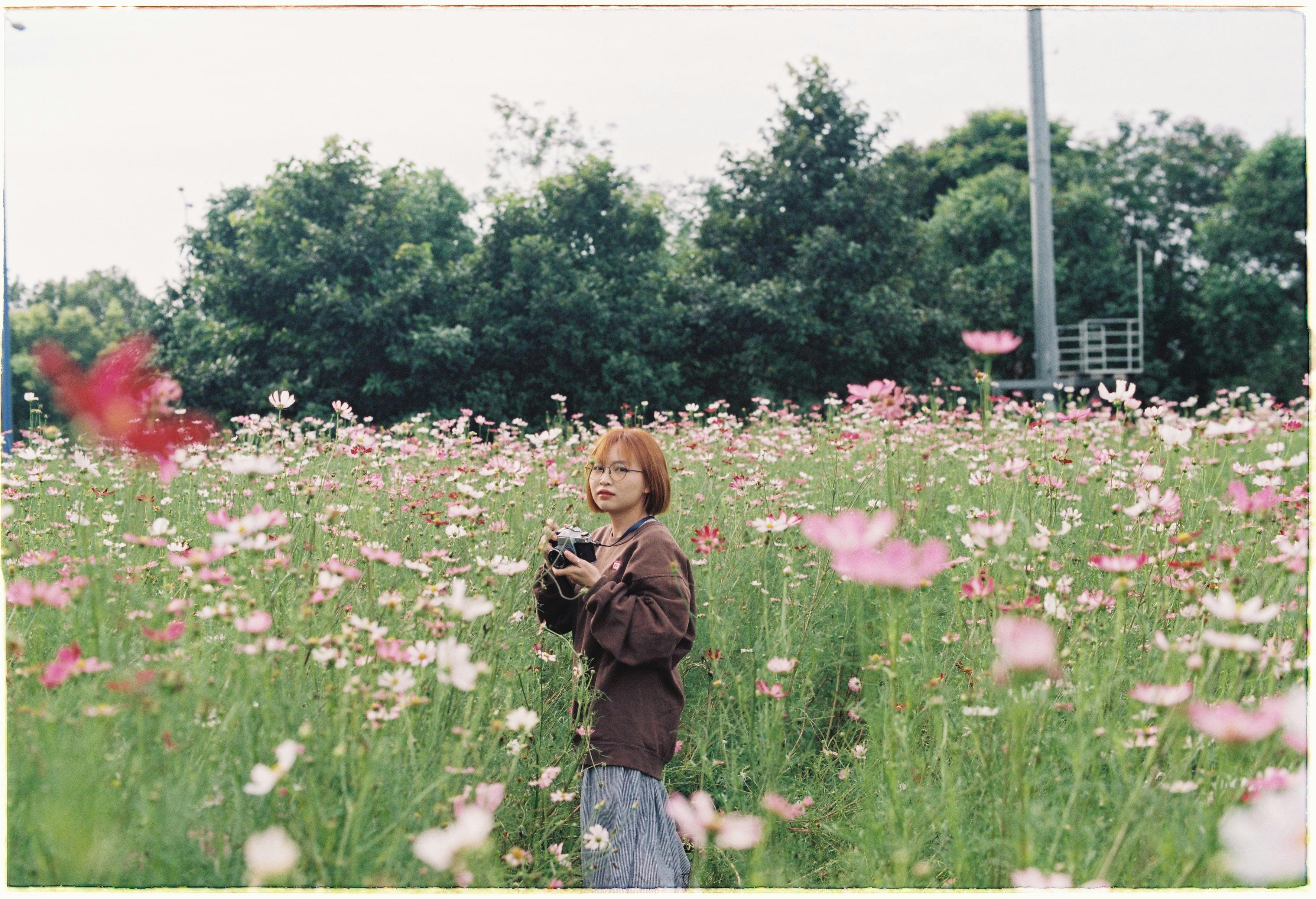 A woman holding a camera in a lush field of blooming flowers, capturing nature.