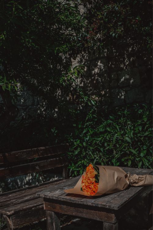 Free A bouquet of orange roses rests on a wooden table in a quiet, shaded outdoor setting. Stock Photo