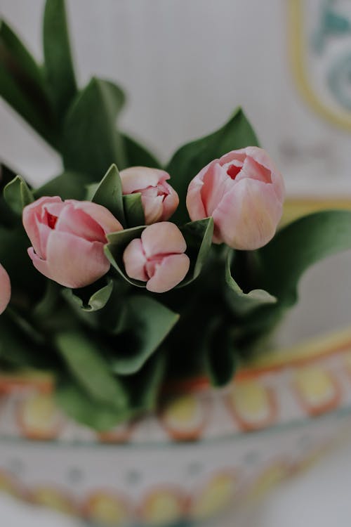 Foto profissional grátis de cachos, flores, foco seletivo