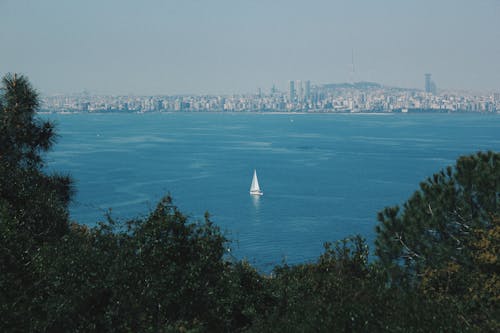 Sailboat in Blue Sea