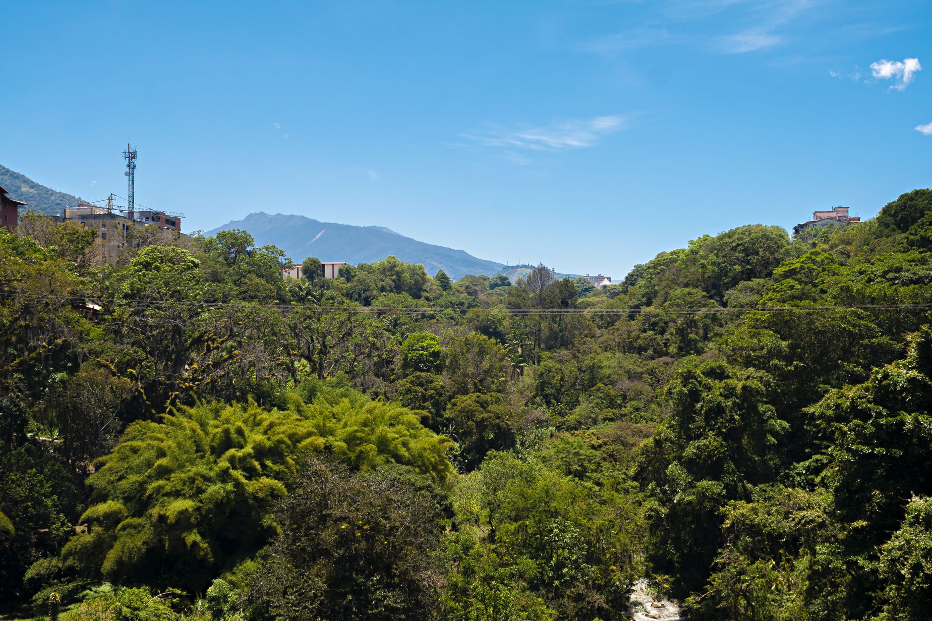 Scenic view of lush greenery and mountains under a clear blue sky in Mérida, Venezuela.