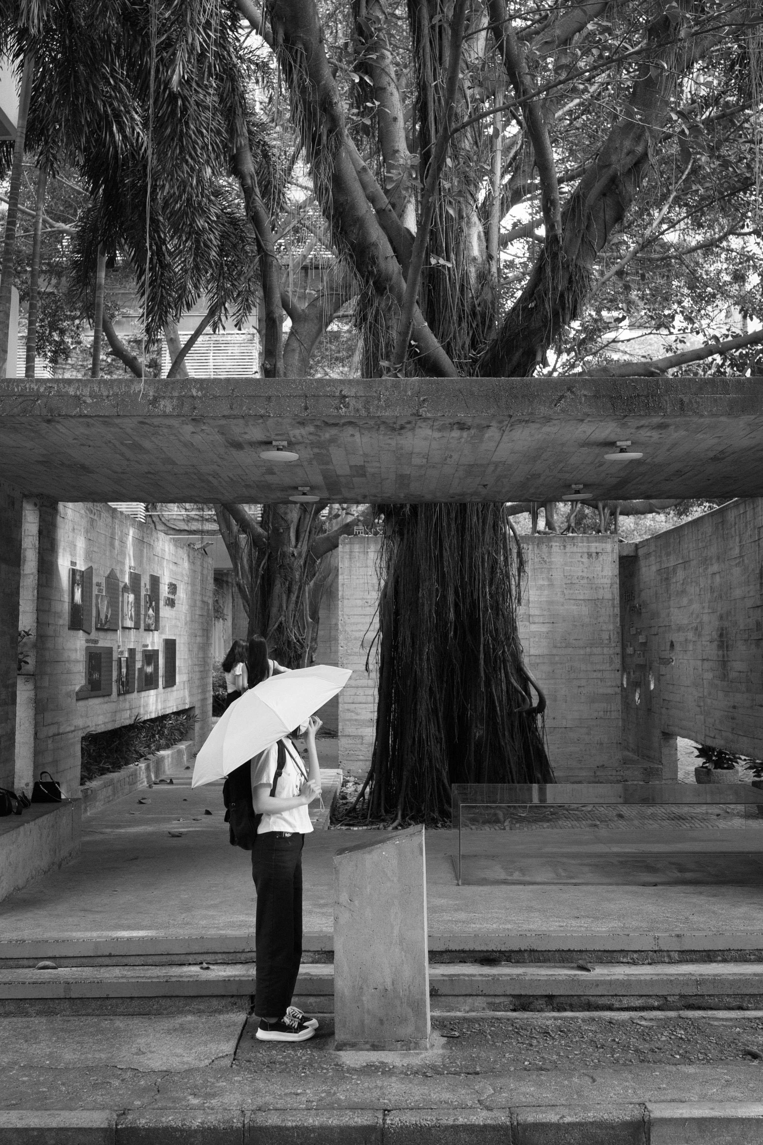 A black and white photo of a person with an umbrella beside a large tree in an urban environment.