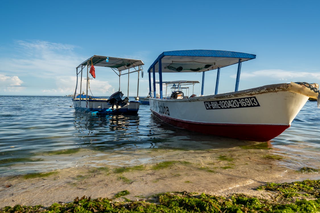 Motorboats Moored on Coast