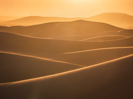 A breathtaking view of golden desert dunes bathed in warm sunlight at sunset.