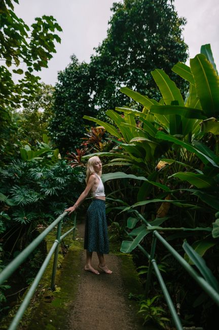 Blonde woman in a tropical garden walkway in Hawaii, embracing nature's beauty.