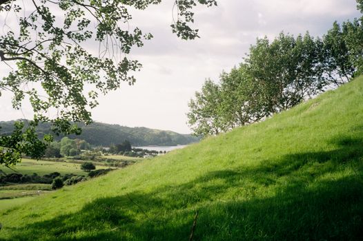 Hobbiton movie set day — Auckland