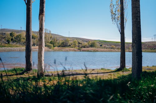 Бесплатное стоковое фото с водоем, выборочный фокус, голубое небо