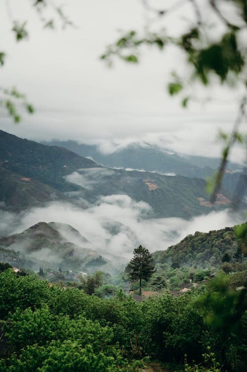 View of Mountains between Clouds seen from a Mountain Peak 