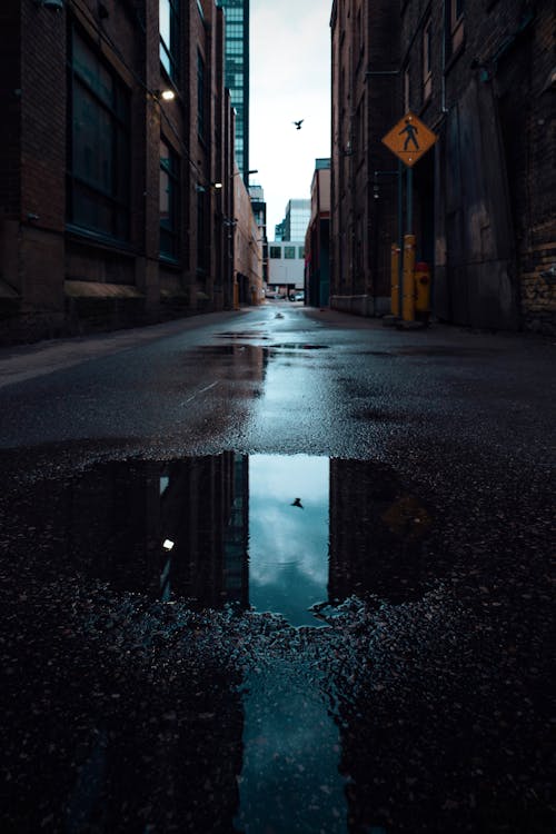 Puddle on Wet Street