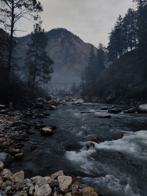 Free Peaceful stream flowing through Himachal Pradesh mountains, surrounded by dense forest. Stock Photo