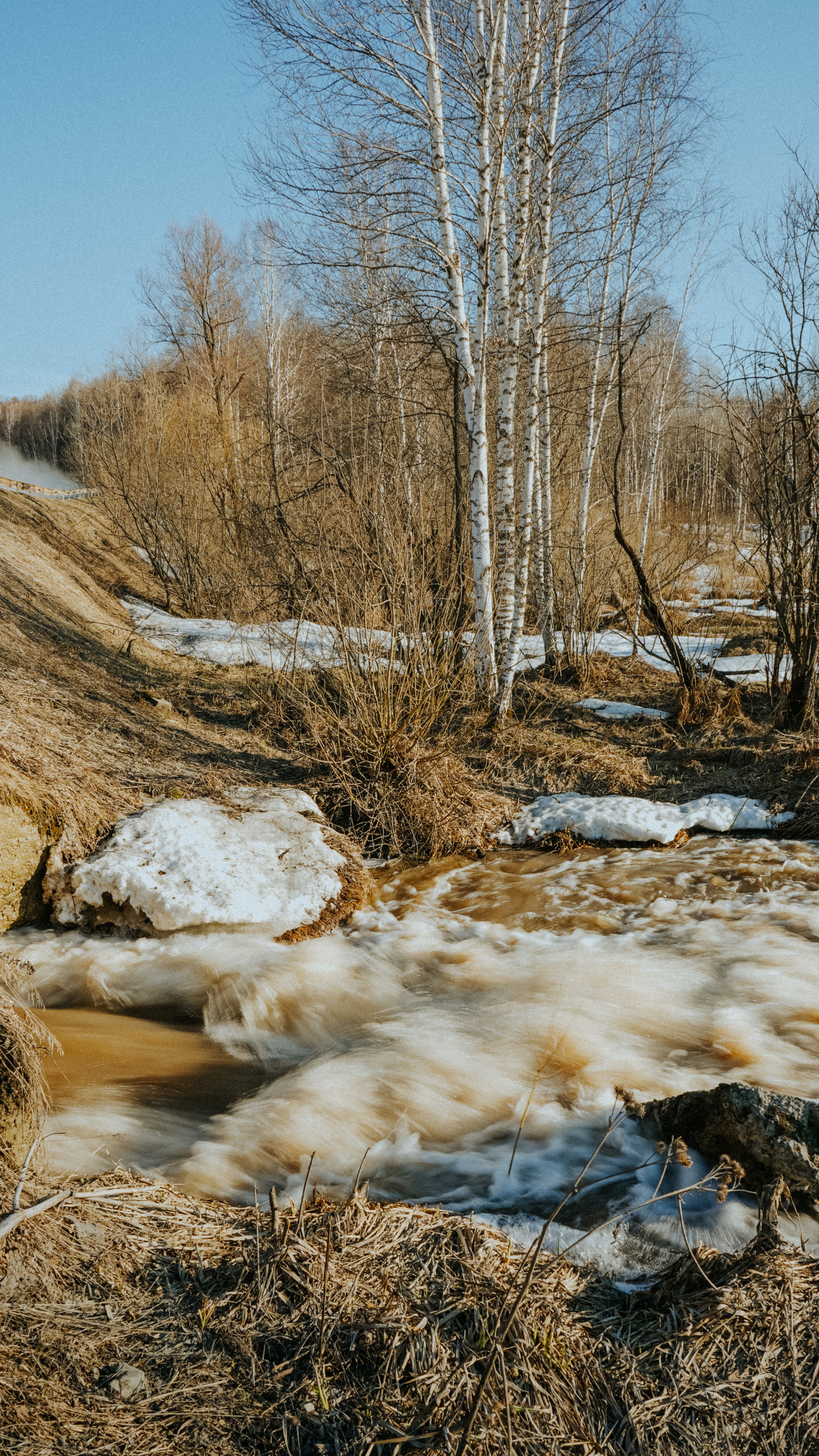 Early Cold Spring Photos, Download The BEST Free Early Cold Spring ...