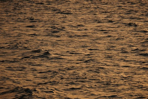 Foto d'estoc gratuïta de aigua, mar, ondulacions